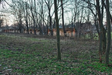 Eski bir parkın sonundaki eski tuğla duvar.