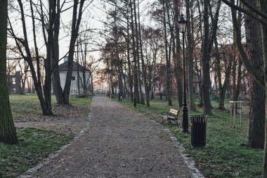 Ağaçlarla kaplı bir parkta çakıl taşı yolu.
