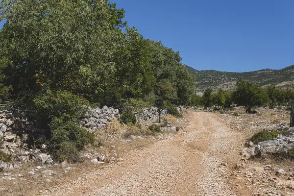 Hırvatistan 'da tepe arazisinden geçen kara yolu