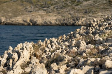 Hırvatistan 'ın Vrsi kenti yakınlarındaki Adriyatik Denizi' nin Hilly dalmaçya kıyıları