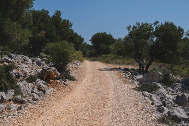 Akdeniz kıyısındaki eski bir zeytin oluğunun içinden yer yolu
