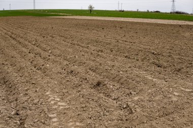 Bahar mevsiminin başında ekili tarlalar