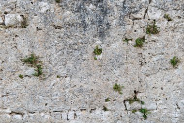 Taştan yapılmış eski bir duvarın dokusu