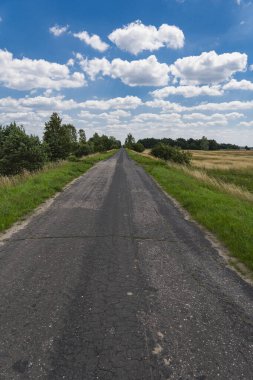 Polonya 'daki düzlüklerdeki çayırlarda boş eski bir asfalt yolu olan manzara.