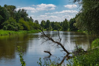 Polonya ve Belarus arasındaki doğal sınır olan böcek nehri vadisi.