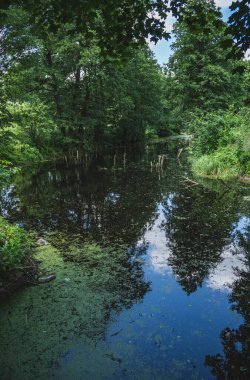 Böcek nehri vadisindeki eski bir nehir yatağının manzarası.