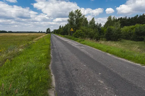 Polonya 'daki düzlüklerdeki çayırlarda boş eski bir asfalt yolu olan manzara.