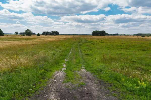 stock image Landscape with an empty old ground road through meadows on flatlands in Poland