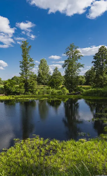 Stock image Natural landscape of an oxbow lake near to a river of bug in eatern Poland