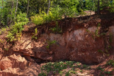 Kum taşında ve ormanın altında toprak katmanları
