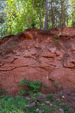 Kum taşında ve ormanın altında toprak katmanları
