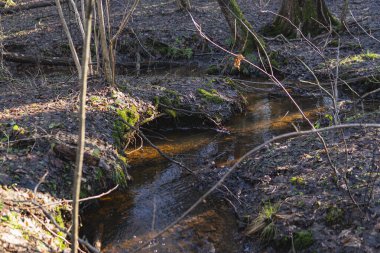 Kış mevsiminde ormanın ortasında küçük bir dere.