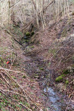 Karsız kış boyunca az miktarda suyla neredeyse boş bir dere.
