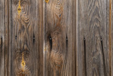 detail of an old wooden wall with nails in the wall clipart