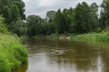 Polonya ve Belarus sınırındaki böcek nehri vadisinin doğal manzarası.