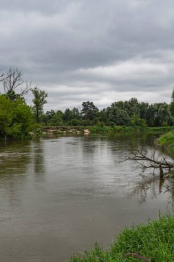 Polonya ve Belarus sınırındaki böcek nehri vadisinin doğal manzarası.