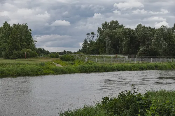 Polonya ve Belarus sınırındaki böcek nehri vadisinin doğal manzarası.