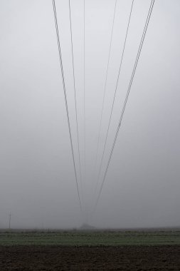 Alanlar, elektrik direkleriyle ve hatlarıyla sisli bir manzara.