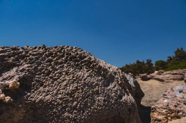 Efektlerin ayrıntıları. Denize yakın kumsaldaki bir kayanın üzerinde fiziksel yıpranma.