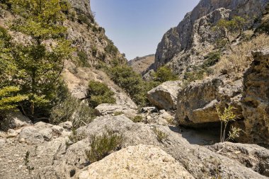 Topolia vadisinden akan bir nehrin boş yatağı.