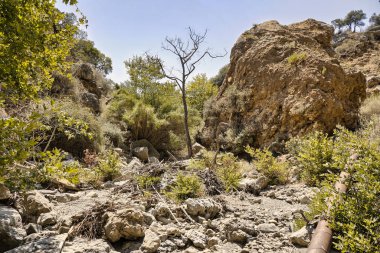 Topolia vadisinden akan bir nehrin boş yatağı.