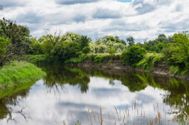 Polonya 'da Lubelskie Voyvoda' da Böcek nehri vadisi olan doğal manzara
