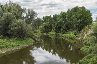 Polonya 'da Lubelskie Voyvoda' da Böcek nehri vadisi olan doğal manzara