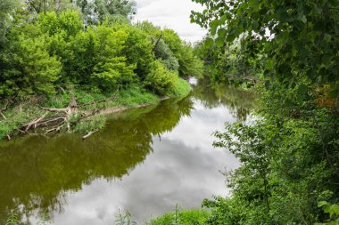 Polonya 'da Lubelskie Voyvoda' da Böcek nehri vadisi olan doğal manzara
