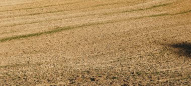 Ağaçların önündeki boş bir tarla manzarası