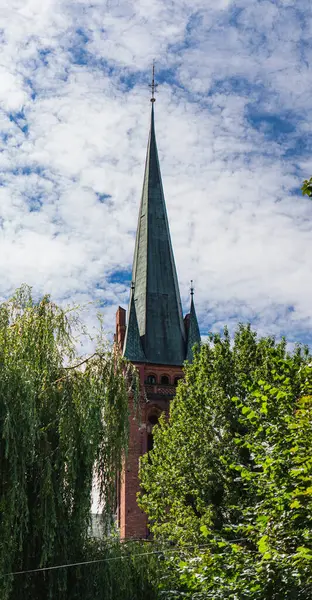 Yeşil yapraklı ağaçların arasında gotik kilise kulesi