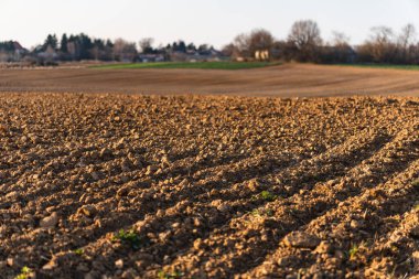 Güneşli bir bahar gününde gün batımından hemen önce boş bir tarla.