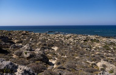 Yunanistan 'ın Girit adasında arka planda Akdeniz denizi bulunan bir tür macchia türünde çalılarla kaplı bir manzara
