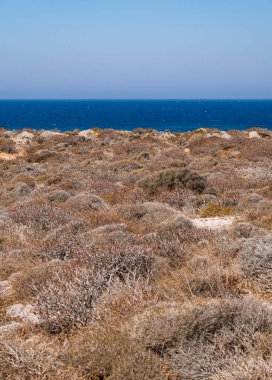 Yunanistan 'ın Girit adasında arka planda Akdeniz denizi bulunan bir tür macchia türünde çalılarla kaplı bir manzara