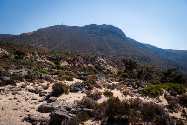 Girit adasının dağlık arazisi Girit adasındaki kayalarla çevrili tek selvi ağaçları ile çevrili.