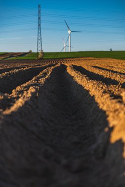 Patateslerin ekildiği tarlada tepeleri olan tarım arazisi.