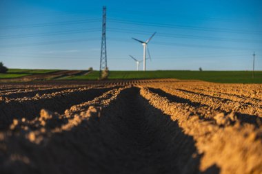 Patateslerin ekildiği tarlada tepeleri olan tarım arazisi.