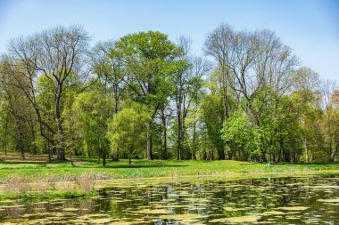 Baharın başında göl kıyısındaki ağaçlar henüz yapraklarla kaplı değil.