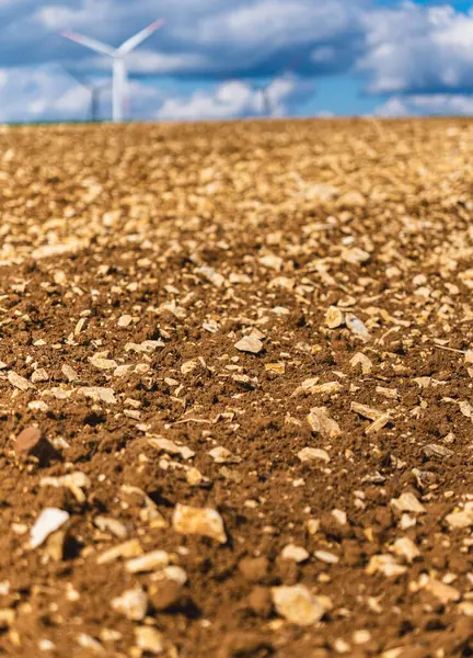 Yüzeyinde kireçtaşı parçaları olan Rendzina toprağına yakın çekim