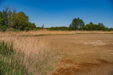Kurumuş bir gölün dibi ve çatlamış bir toprak manzarası.