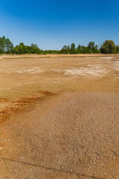 Kurumuş bir gölün dibi ve çatlamış bir toprak manzarası.