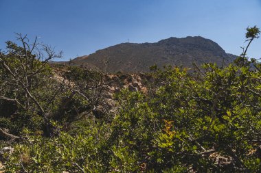 Girit adasının dağlık arazisi Girit adasındaki kayalarla çevrili tek selvi ağaçları ile çevrili.