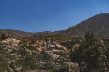 Girit adasının dağlık arazisi Girit adasındaki kayalarla çevrili tek selvi ağaçları ile çevrili.
