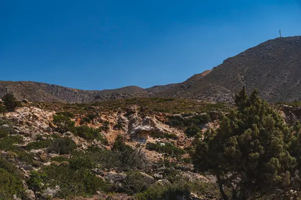 Girit adasının dağlık arazisi Girit adasındaki kayalarla çevrili tek selvi ağaçları ile çevrili.