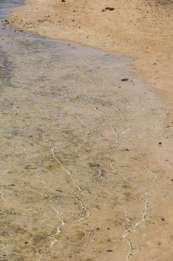 Kumlu bir sahilde, küçük dalgalı bir kıyı şeridine yakın.