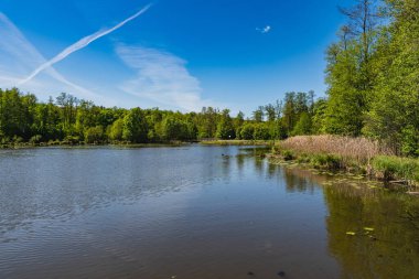 Gölün karşı kıyısının manzarası ormanla kaplıydı.