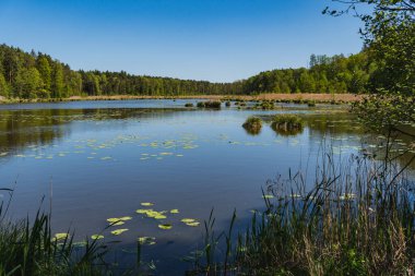 Gölün karşı kıyısının manzarası ormanla kaplıydı.