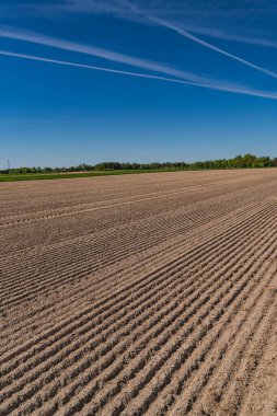 Baharın başında boş tarlaları olan kırsal bir arazi.