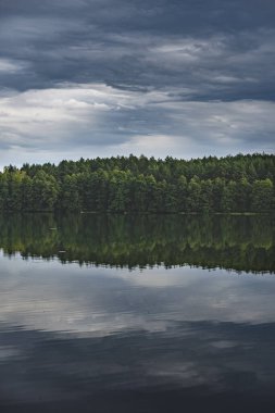 Sahilde yetişen ormanın yansımasıyla gölün manzarası.
