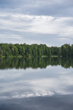 Sahilde yetişen ormanın yansımasıyla gölün manzarası.