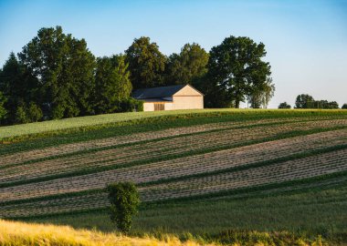 Yamaçta uzamış tarlaları olan kırsal alan.